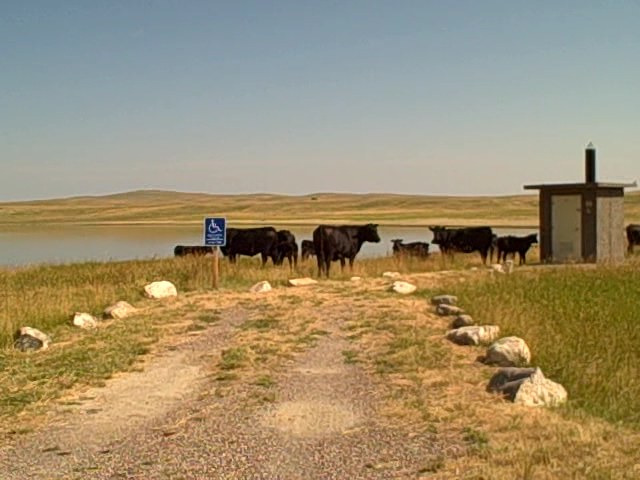 picture showing Marked Accessible Parking at Bean Lake.