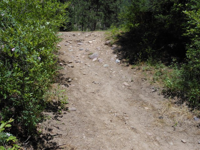 picture showing River access point.  This is very rough and primitive with a slope of around 25%.  The tread-way is eroded and has rocks that can be 4