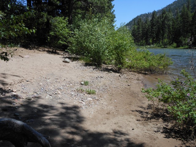 picture showing Shoreline looking up-river of the Blackfoot.