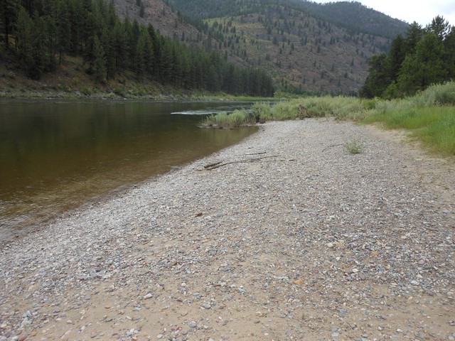 picture showing Shoreline downstream from ramp.