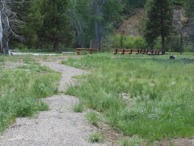 picture showing Trail to amphitheater which is located between the two camp loops.  The trail is firm & stable, however it has vegetation creeping in on the sides.