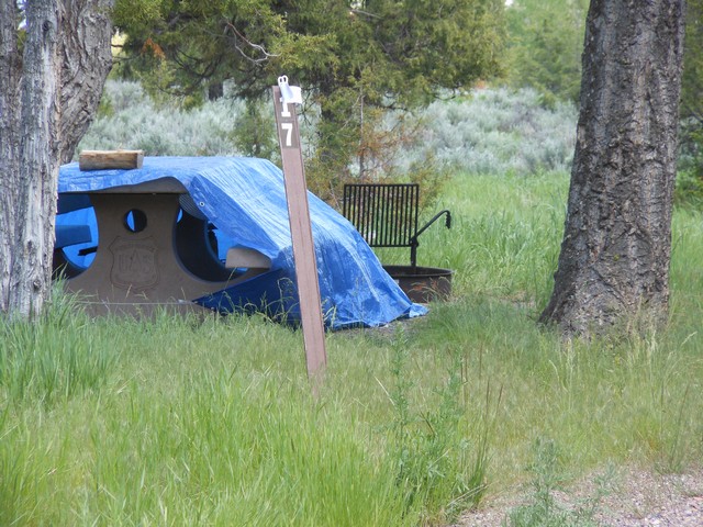 picture showing Campsite #17.  Even though this is a poor picture, the parking pad size is 20' by 50'.  The campsite has slopes around 2-3%.