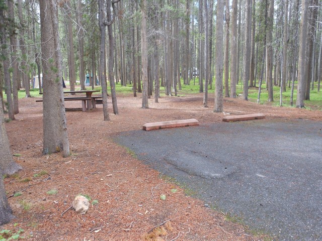 picture showing This is campsite #B39.  The parking pad is 31' by 41' with a .6% slope.  It does not have an accessible table or grill. The max slope is 5.6% and cross slope is 2%.