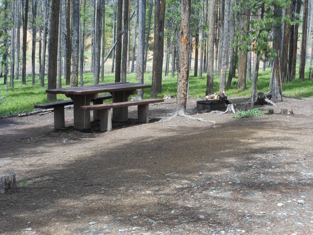 picture showing Campsite #20 with parking space of 13'X 50'.  