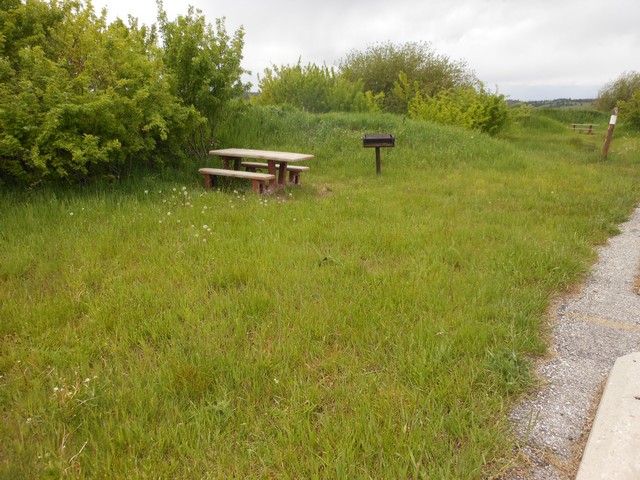 picture showing Picnic site with accessible table & grill.