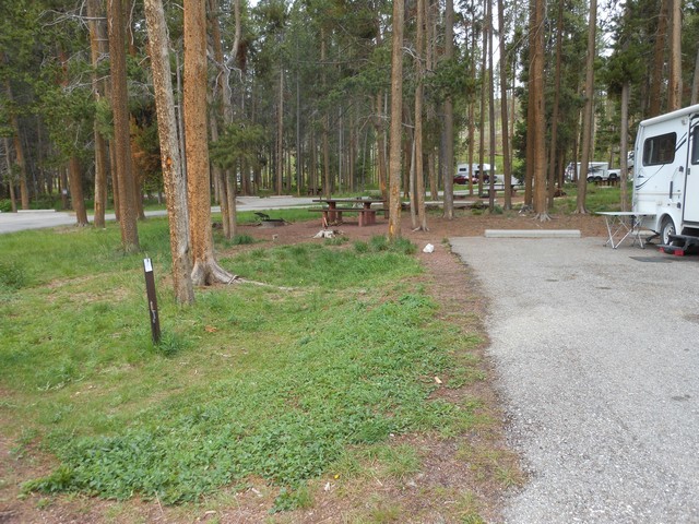picture showing Campsite #8.  Parking pad is 25'X 50'.