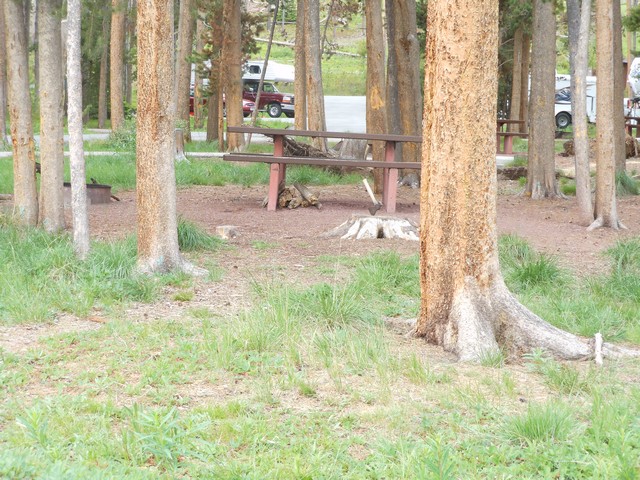 picture showing Close-up of campsite #8.  Max slope is 7% right off the edge of the parking pad but the rest of the campsite around 3%.