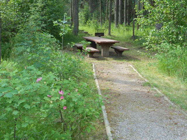 picture showing Once you follow the sloped trail (max slope of 12%)  down from the parking lot, the table & grill are both accessible.
