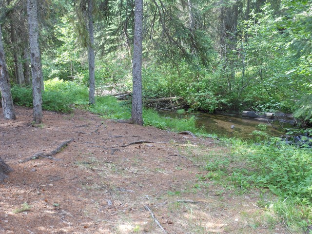 picture showing Beautiful little Lee Creek behind campsite #2.