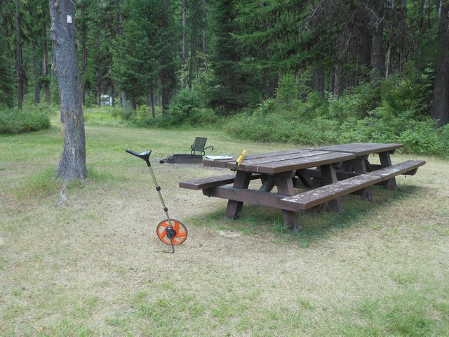 picture showing Nice picnic area but table does not meet accessible standards.  There is not a designated route to the picnic tables, the ground is uneven and bumpy in places.