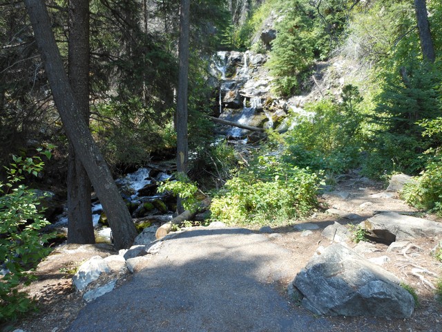 picture showing View of Lost Creek Falls.