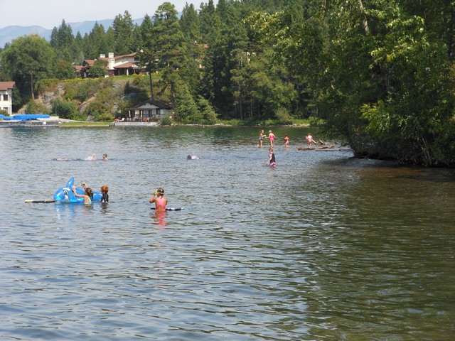 picture showing Swimmers enjoying the water.