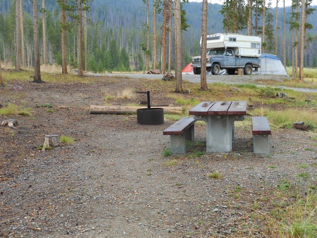 picture showing Campsite #2, typical of the campsites.