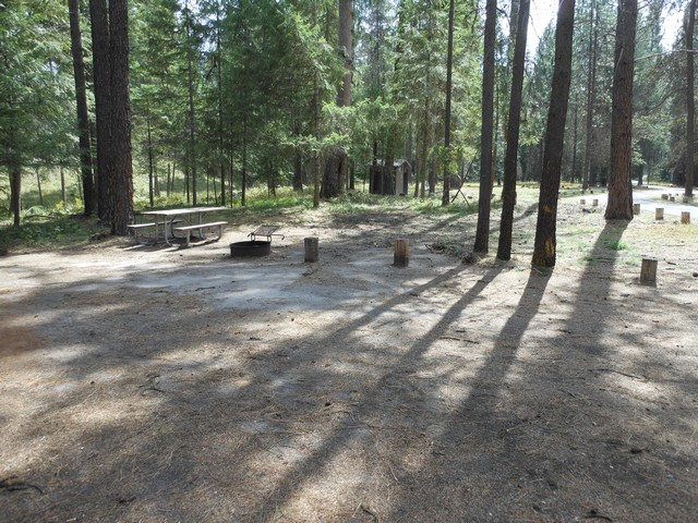 picture showing Campsite #11, loop C.  This campsite is not designated accessible but the slopes meet the standard and it has an accessible table but the fire-grill is not.