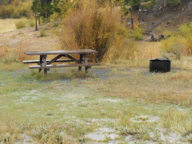picture showing Accessible table & grill in the picnic area.  However, the slope down to the table is quite steep and has an uneven surface with clumpy vegetation.