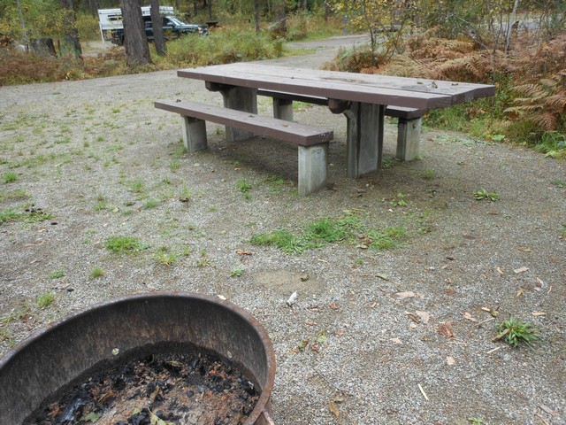 picture showing Campsite #11 with table & grill.