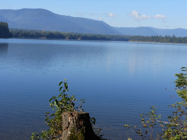 picture showing View from the picnic shelter shoreline.