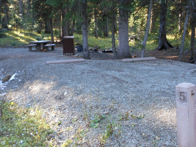 picture showing Campsite #5 looks to be accessible.