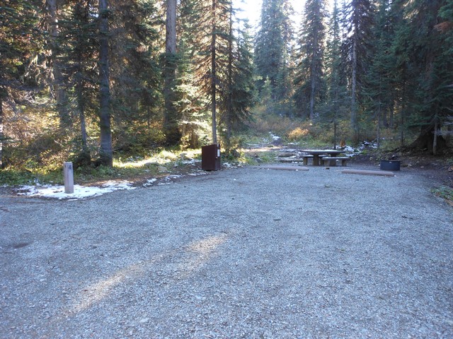 picture showing Campsite #4 looks to be accessible.