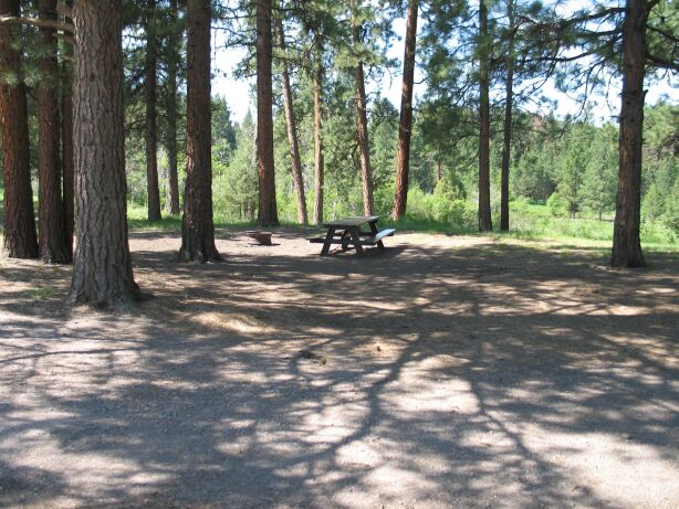 picture showing Example of a typical campsite: mostly level but with uneven hard-packed dirt access routes around a picnic table with no wheelchair seating space and a BBQ pit with a cooking surface lower than 15 inches.