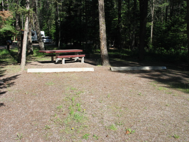 picture showing Most campsites are accessible.  This campsite shows how some of the accessible campsites may have a limited clear tread width (32 inches at this site) because the access route between the parking pad and the campsite passes through parking curbs.