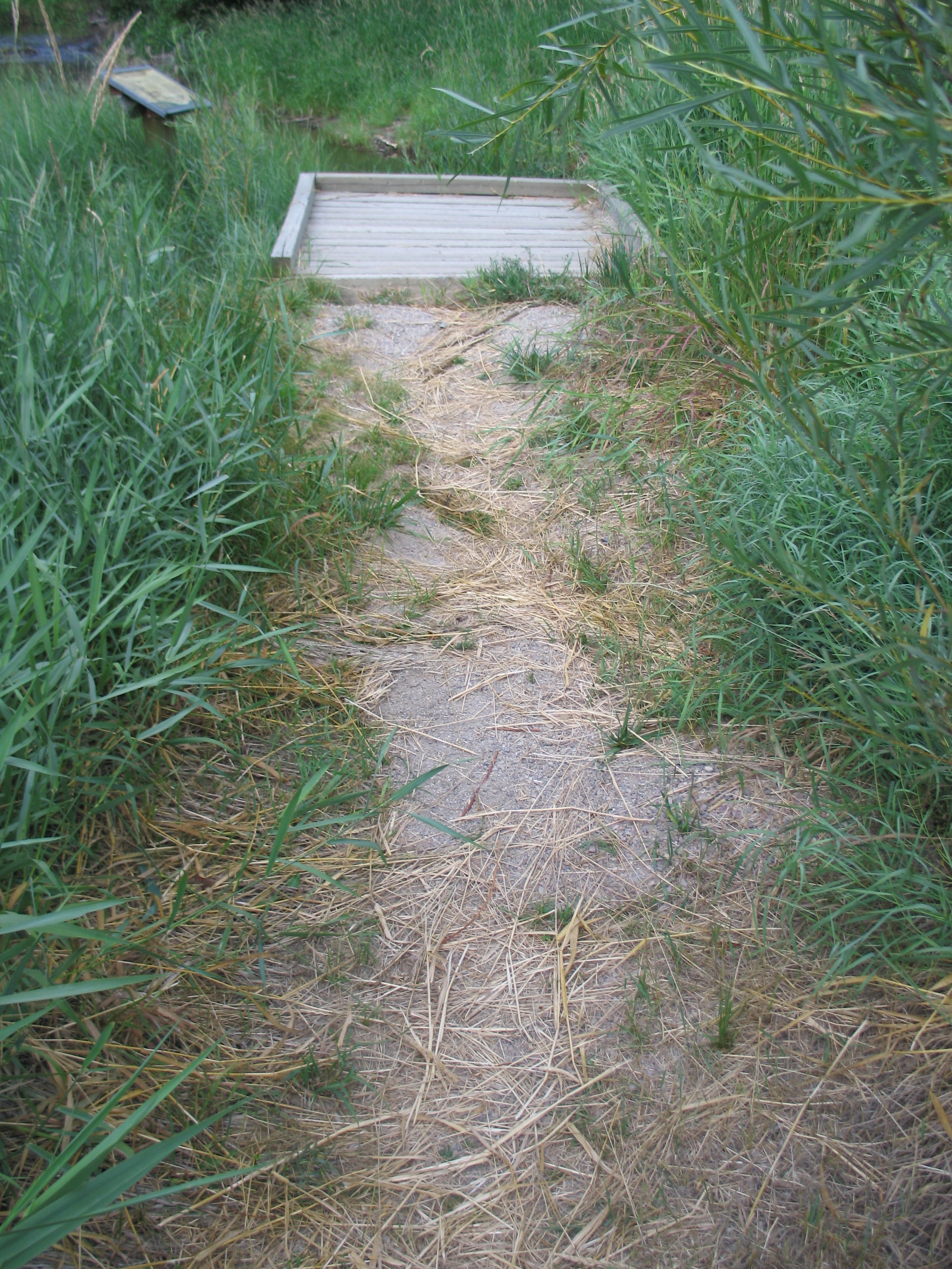 picture showing Most of the interpretive signs are accessible. There are a few that are not accessible such as this one shown in the photo.