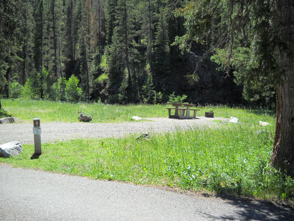 picture showing Campsite at Langohr campground.