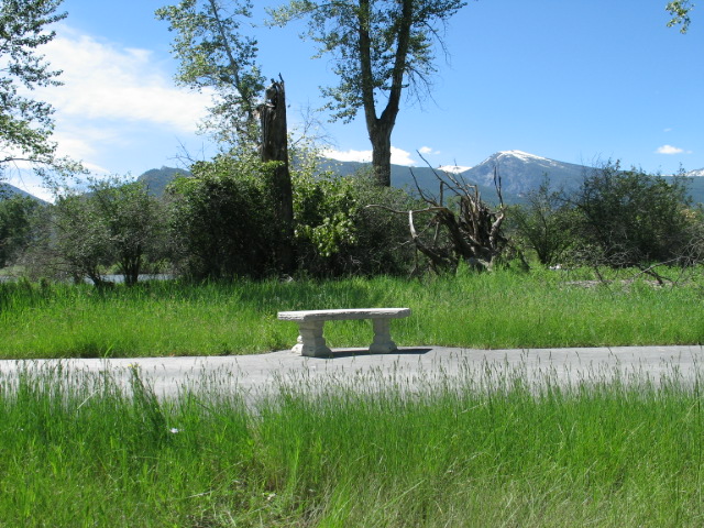 picture showing A short decorative concrete bench located along the main paved trail.  The bench does not have a back support, arm support, or space for a wheelchair beside it.