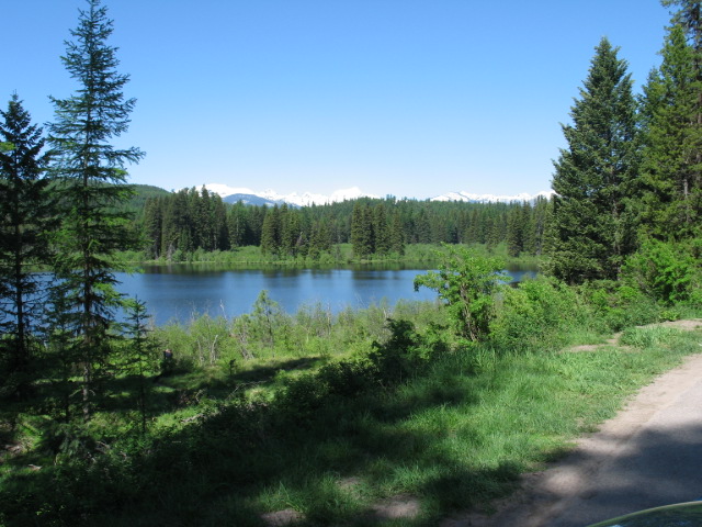 picture showing View from the lookout showing: a riparian area between the lookout and the lake; the northern end of the lake; the forested shoreline across the lake; and snow-capped mountain peaks in the distance.