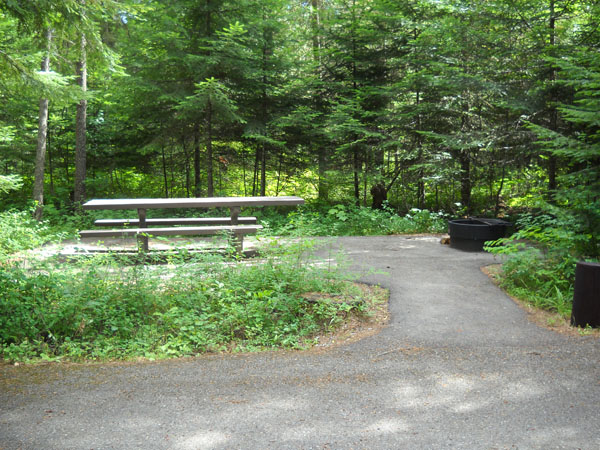 picture showing Typical campsite that has been recently improved for accessibility.  9 sites have been improved at this campground.