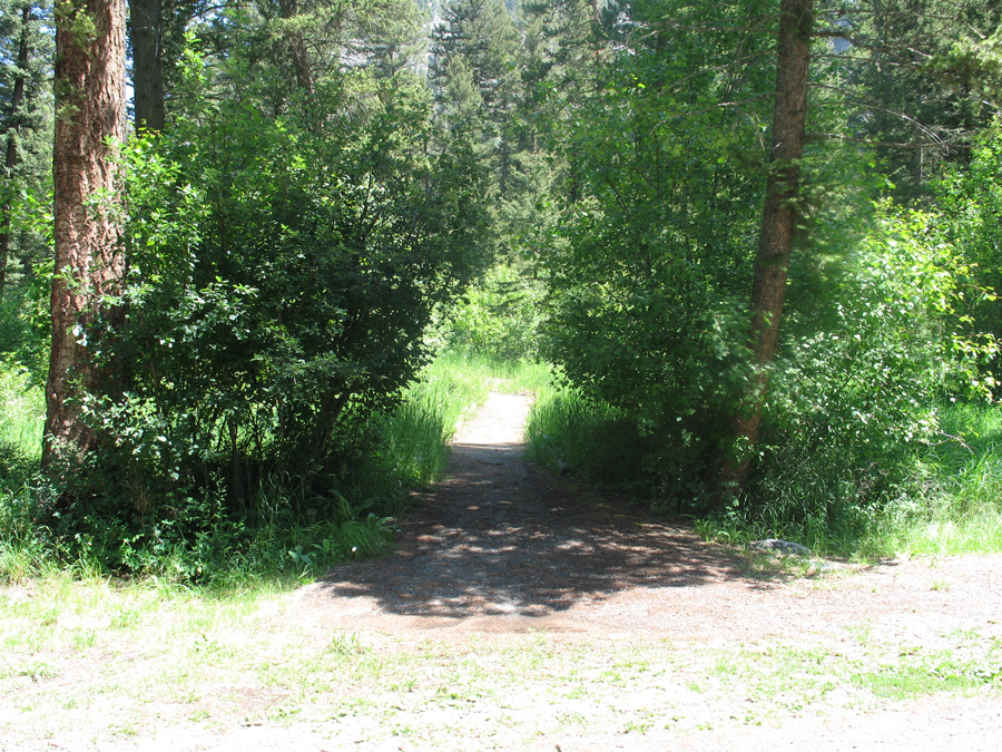 picture showing Start of trail to stream at Pine Creek Campground.