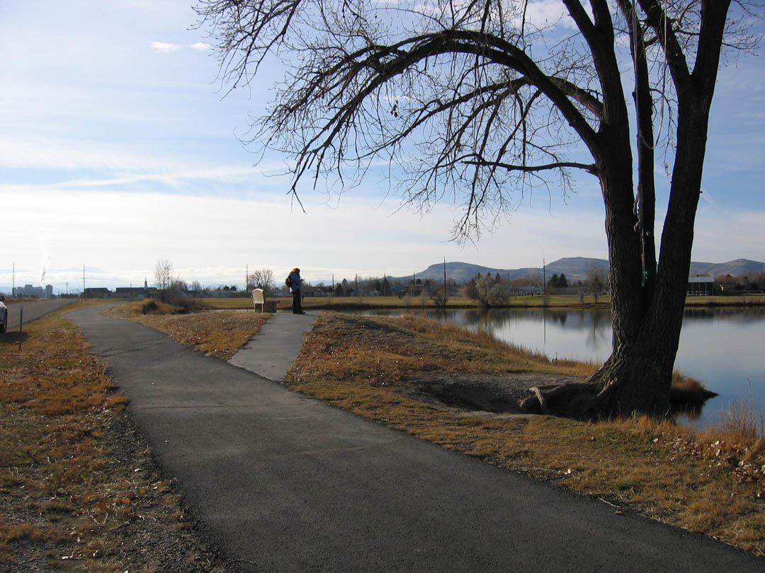 picture showing View of typical trail surface and width. 